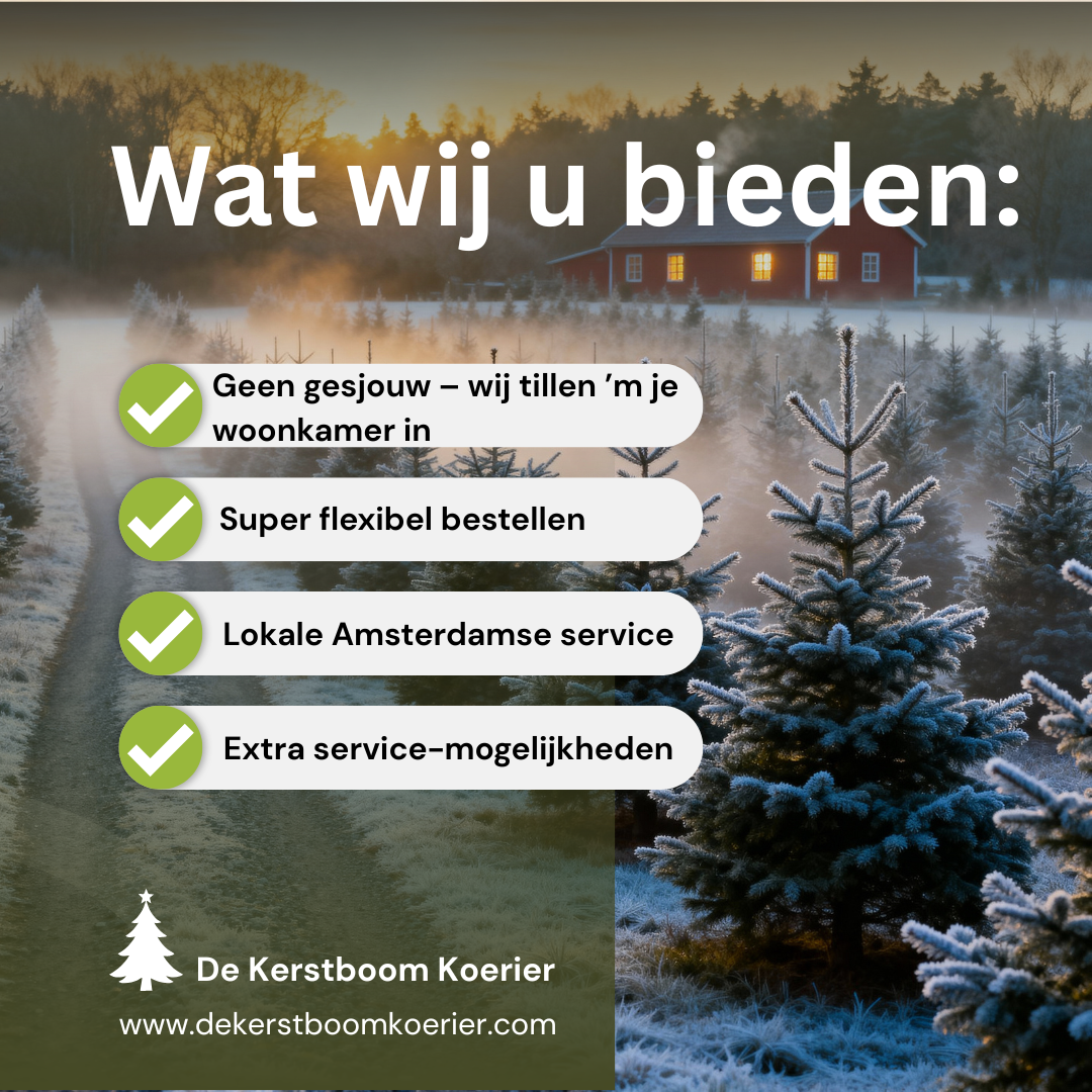 Nordmann 125 - 150 cm PREMIUM